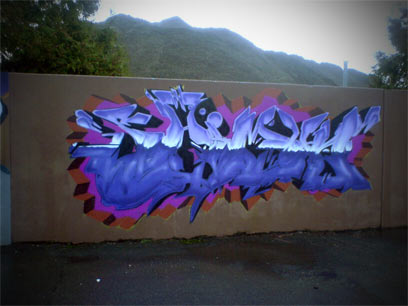 pic1