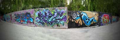 pic1